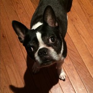 Meet your Posher, Lexi